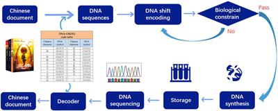 Towards Chinese text and DNA shift encoding scheme based on biomass plasmid storage